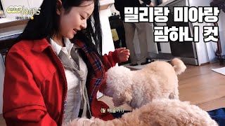 [재미로하니ep.7] 밀리랑 미아랑 팜하니 컷  #하니 #Hanni #ハニ #NewJeans