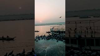 Rana Mahal Ghat || Banaras ka Rana Mahal Ghat #viral #trending #varanasi #banaraswallah #ghat