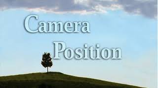 Camera Position 150 : You Are Not The Viewer