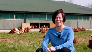 Birds of a feather together at Butler's Organic Eggs