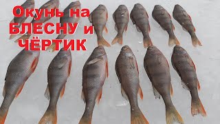 ОКУНЬ на БЛЕСНУ И ЧЁРТИК.РЫБУ НАДО ИСКАТЬ. Зимняя рыбалка.