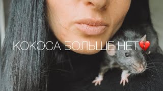 1 июля. Дочь купила книги на 4 тысячи!