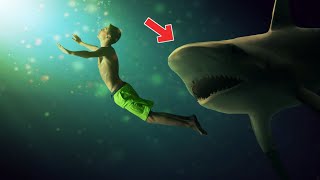 Megalodon Köpek Balığını Yok Eden Şey Aslında Neydi?