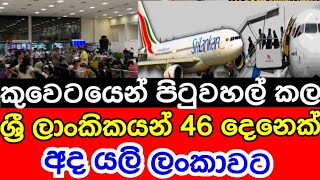 🇦🇪✈️🇱🇰කුවේටයේන් පිටුවහල් කල 46 දෙනා අද 11 ලංකාවෙ ගුවන්තොටුපල  වෙතට ලගාවිය