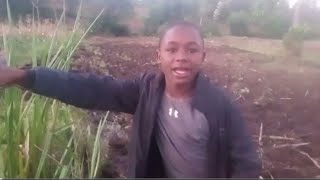 GOOD TIPS FOR A HEALTHY KITCHEN GARDEN _organic vegetables at nyabohanse