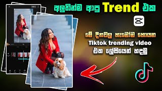 New Tiktok Trending Video Editing Sinhala | New Capcut Template | New Trend 2023 | photo hub lk