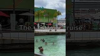 #cozumel #cruiseport is full of #thingstodo #cozumelmexico #cruisenews #antandshira