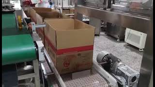 Complete Case Packing Solution of pre-made Pouch in Food Industry, by Delta Robot(spider robot).