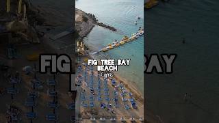 Cyprus Beaches - Fig Tree Bay 4k 🔥 #cyprus #figtree #travelshort