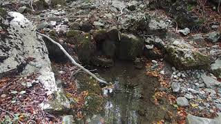 The Sound of the little water fall torrent - HD sounds and video