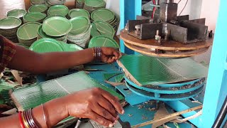 Hydraulic Plates Making Machine Videos | Paper plates instrumental | Small Scale IndustrY