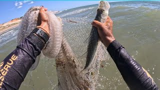 NEM ACREDITEI QUANDO VI O PEIXE NA TARRAFA - PESCAR E COMER ( CATCH AND COOK)