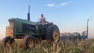 Replanting beans the hard way