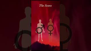 Lemuria: The Emergence of the Sexes | Gigi Young #shorts