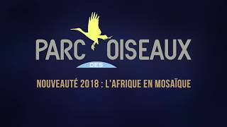 ESCALE EN AFRIQUE