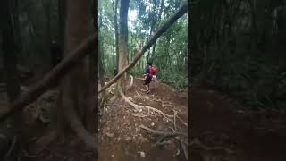 Gagal muncak di pendakian gunung gede pangrango edisi turun...#part  1 #maindialam #youtubeshorts