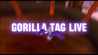 Gorilla Tag Live Road To 4K!