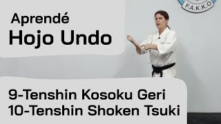 Uechi Ryu Hojo Undo - Tenshin Kosoku Geri y Tenshin Shoken Tsuki