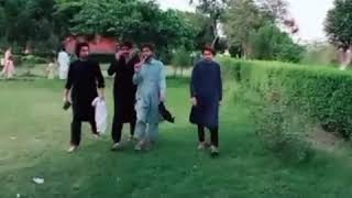 pashto tik tok. song