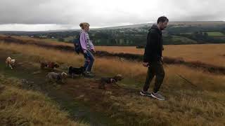 Goathland Walk North Yorkshire UK