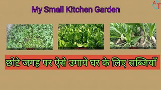 Small kitchen garden ideas // छोटी जगह पर घर के लिए सब्जियाँ उगाये #viral