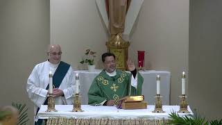 Second Sunday in Ordinary Time - (Sat. 5 pm) (LIVE) -  Jan. 14, 2024