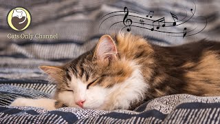 Relaxing Music for Cats - Peaceful Piano & Cat Purring, Deep Sleep Music, Stress Relief