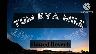 ⚡ Tum Kya Mile| Slowed Reverb| lofi song editz growl voice 🔥🥵 #video #tumkyamile #youtubeshorts 🥵⚡