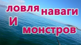 РЫБАЛКА В ПРИМОРЬЕ, ЛОВЛЯ НАВАГИ И МОНСТРОВ,ОСЕНЬ 2018г