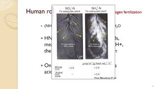 Soil Colloids Part 3