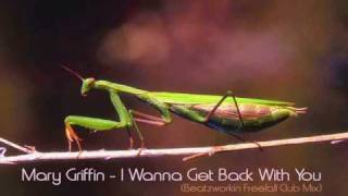 Mary Griffin - I Wanna Get Back With You (Beatzworkin Freefall Club Mix)