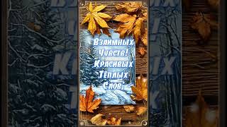 С наилучшими пожеланиями.🍁❤️