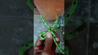 Knot Tying Tutorial: Quick and Easy!