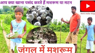 जंगल से मिला मशरूम ( बरसात में मिलते हैं जंगलों में मशरूम)