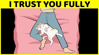 These Pet Sleeping Positions Explain Their Relationship With You