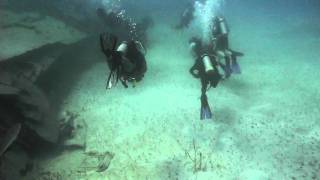 Diving at Nassau at the Bahamas