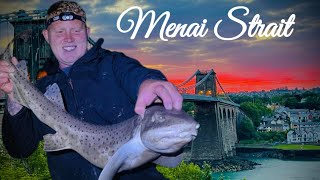 North Wales sea fshing Menai Strait - BULL HUSS AND SMOOTH HOUND.