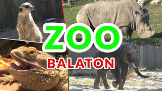 ZOO — Jezioro Balaton Węgry. Czy warto tam pojechać? (Vlog #27)