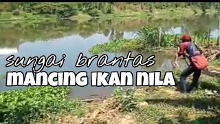 mancing nila di sungai Brantas || spot makam klitikan