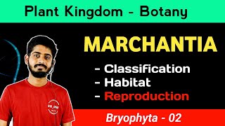 Marchantia | Classification & Habitat | Life Cycle | Reproduction in Marchantia  in Hindi