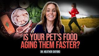 The Groundbreaking Anti-Aging Therapies for Pets | Dr. Heather Oxford