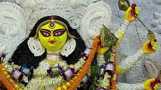 Chandannagar Durga Puja 2023 Glimpses