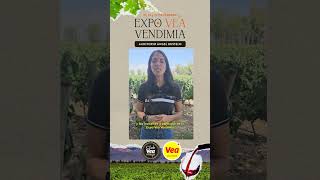 #ExpoVeaVendimia 2024 🍇🍷.