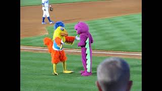 Famous Chicken battles Barney in a dance-off!