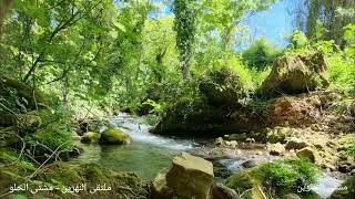 صوت العصافير و النهر بالطبيعة الساحرة في مشتى الحلو