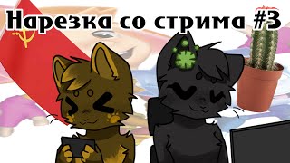 Нарезка со стрима #3