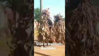 Société secrète d'Afrique. Danse Mystérieux.