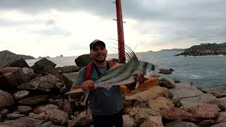 pesca de gallo en playa de ixtapa guerrero