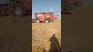 Фермер рад солнцу #farming #agriculture