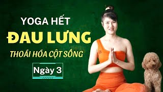 7 Ngày Yoga Hết Đau Lưng, Thoái Hóa Cột Sống _ Ngày 3 | Yoga Như Quỳnh